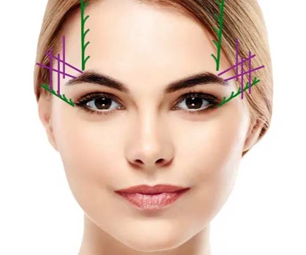 Banner del levantamiento de ojos de gato