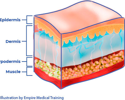 Banner de curso de Estética Médica
